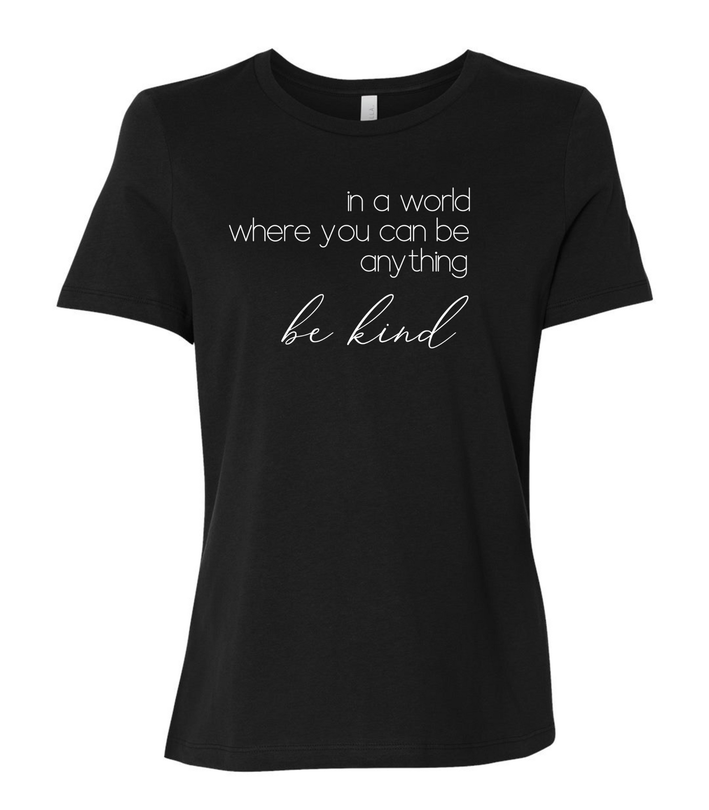 In a World Where you can Be Anything Ladies Short Sleeve T-Shirt