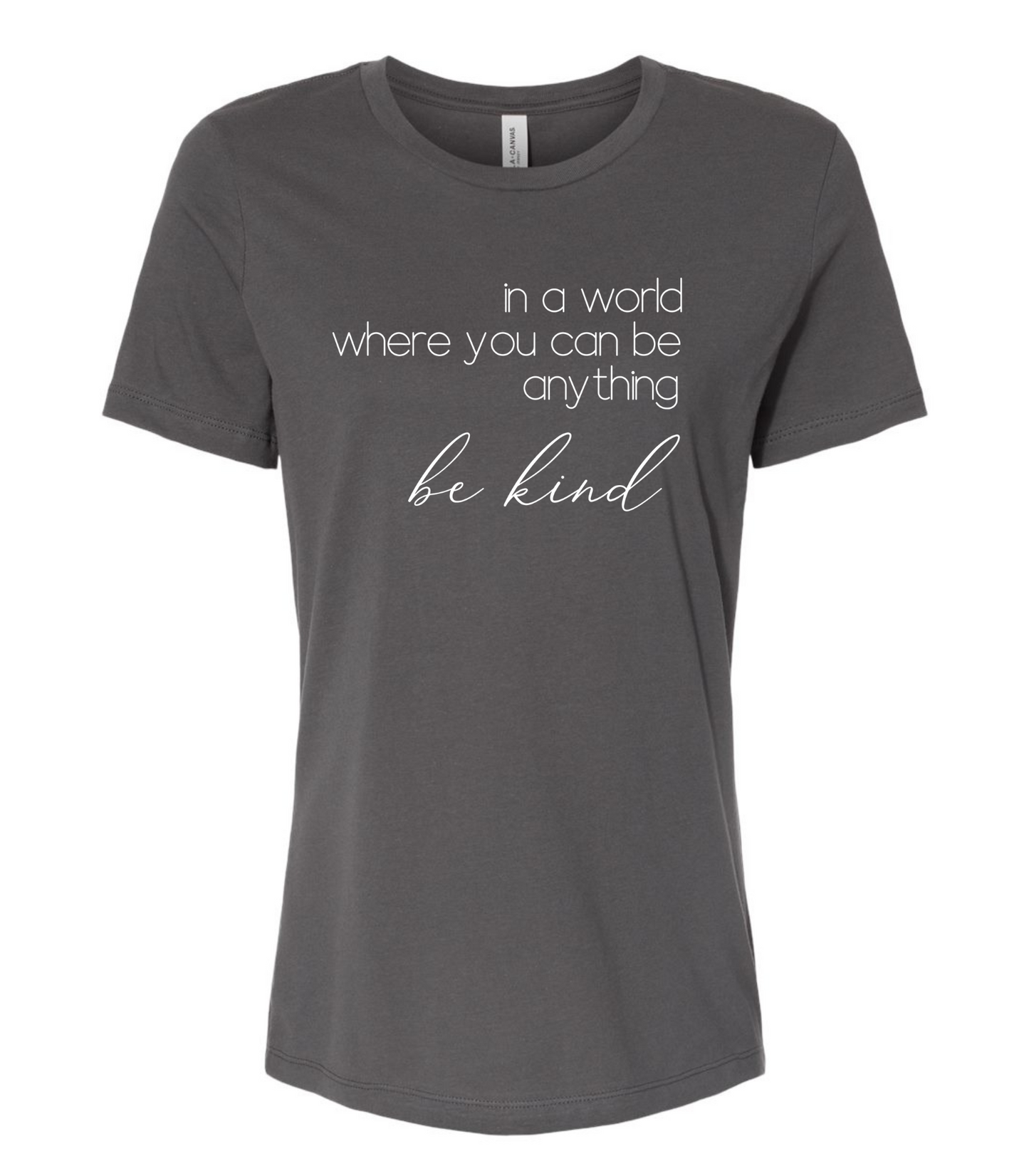 In a World Where you can Be Anything  Ladies Short Sleeve T-Shirt