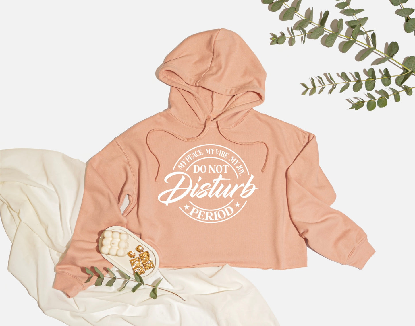 Do Not Disturb Cropped Hoodie